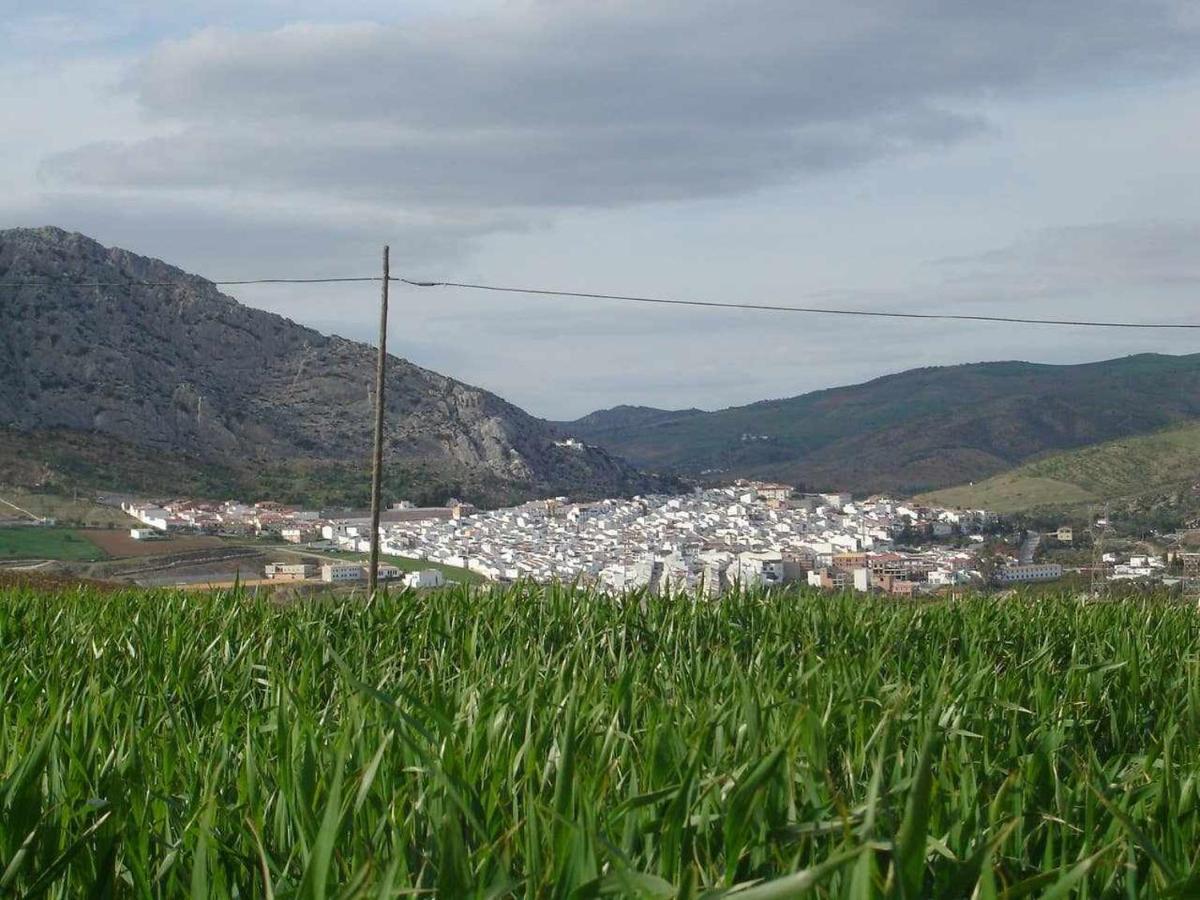 Valle de Abdalagís Mirador De La Era 게스트하우스 외부 사진